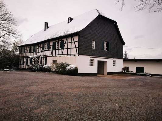 Rhodesian Ridgeback-Beitrag-Bild