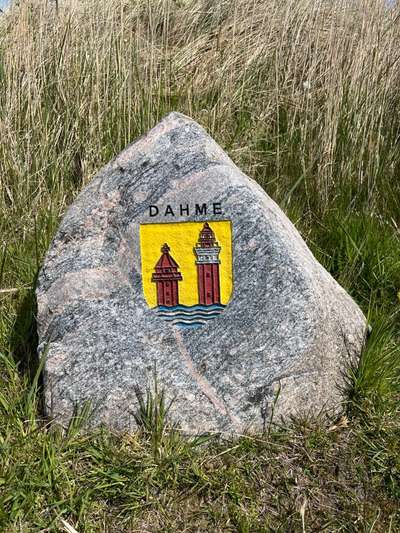 Rhodesian Ridgeback-Beitrag-Bild