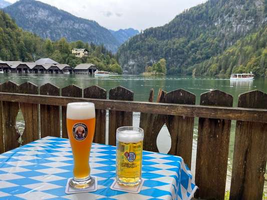 Rhodesian Ridgeback-Beitrag-Bild