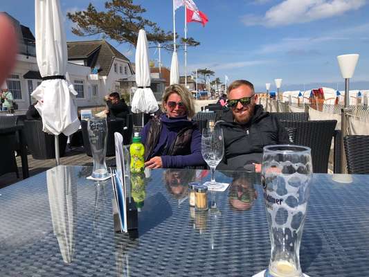 Rhodesian Ridgeback-Beitrag-Bild