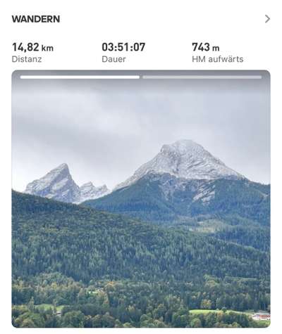 Rhodesian Ridgeback-Beitrag-Bild