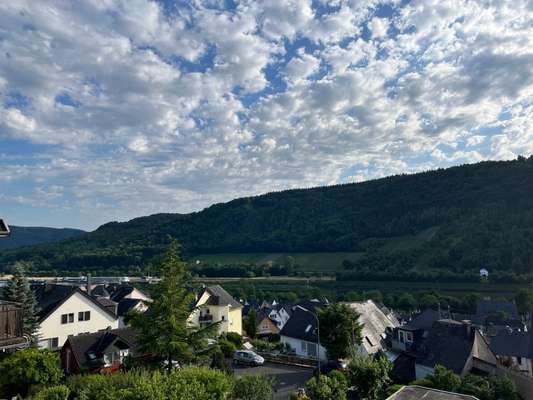 Rhodesian Ridgeback-Beitrag-Bild