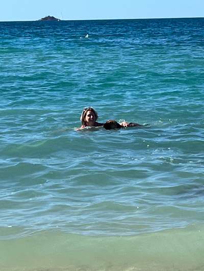 Rhodesian Ridgeback-Beitrag-Bild