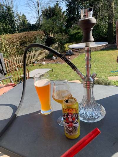 Rhodesian Ridgeback-Beitrag-Bild