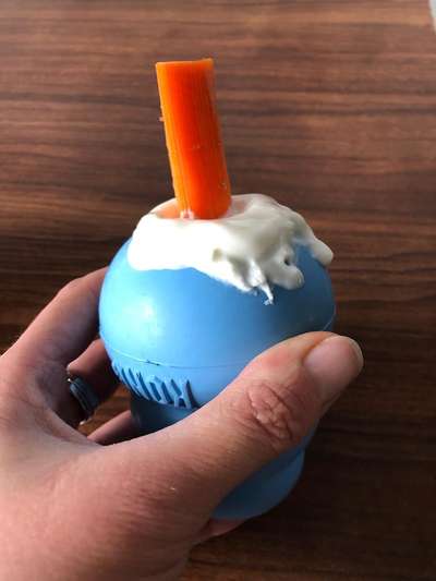 Rhodesian Ridgeback-Beitrag-Bild