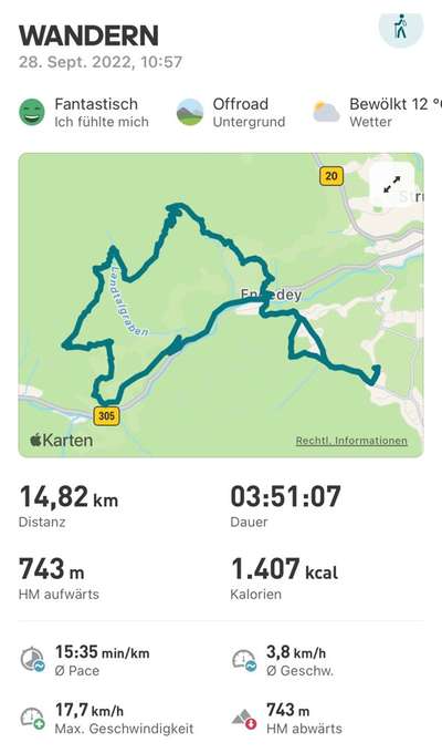 Rhodesian Ridgeback-Beitrag-Bild