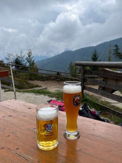 Rhodesian Ridgeback-Beitrag-Bild