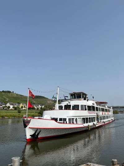 Rhodesian Ridgeback-Beitrag-Bild