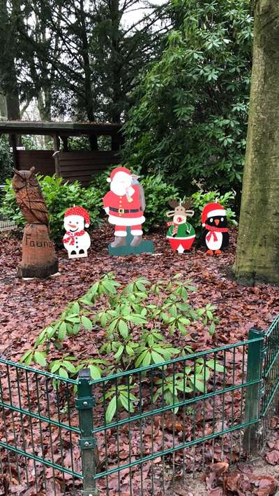 Rhodesian Ridgeback-Beitrag-Bild