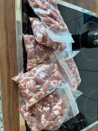 Rhodesian Ridgeback-Beitrag-Bild