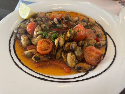 Rhodesian Ridgeback-Beitrag-Bild