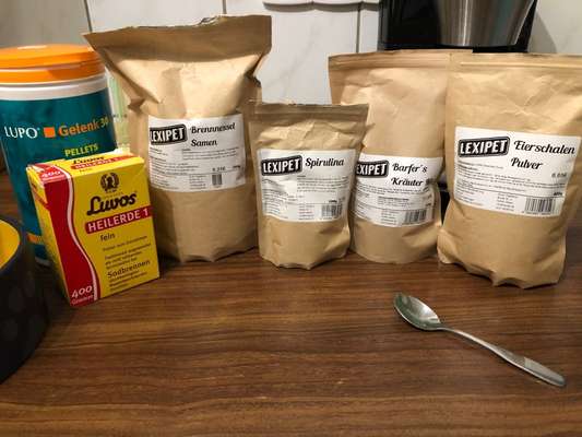 Rhodesian Ridgeback-Beitrag-Bild