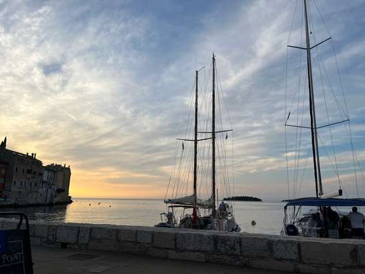 Rhodesian Ridgeback-Beitrag-Bild