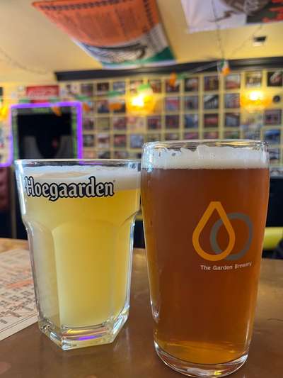 Rhodesian Ridgeback-Beitrag-Bild