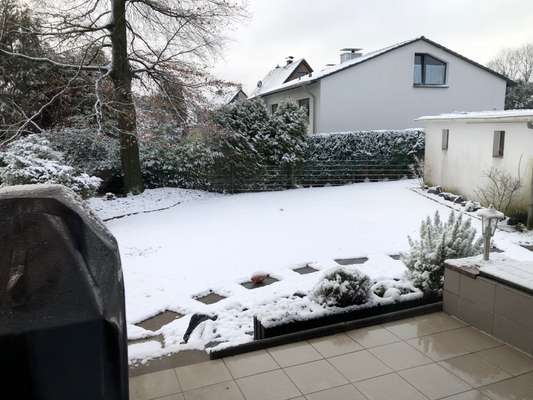 Rhodesian Ridgeback-Beitrag-Bild