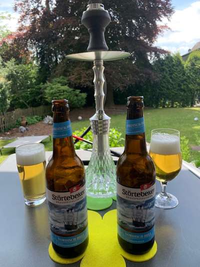 Rhodesian Ridgeback-Beitrag-Bild