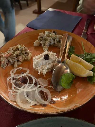 Rhodesian Ridgeback-Beitrag-Bild