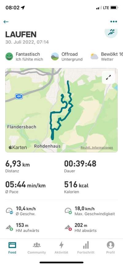 Rhodesian Ridgeback-Beitrag-Bild