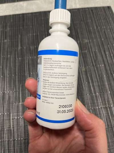 Rhodesian Ridgeback-Beitrag-Bild