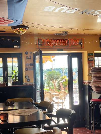 Rhodesian Ridgeback-Beitrag-Bild