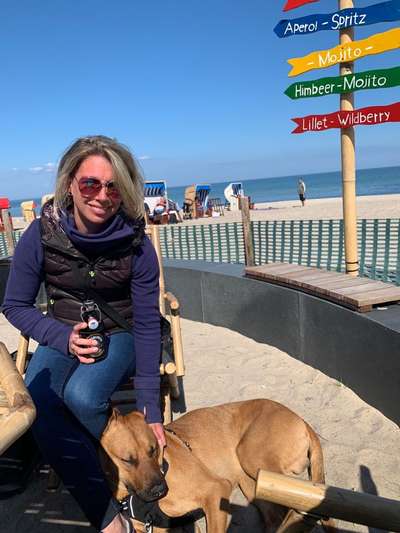 Rhodesian Ridgeback-Beitrag-Bild