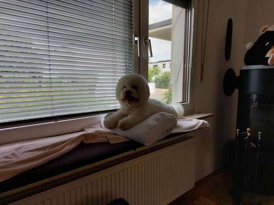 Gastritis?-Beitrag-Bild