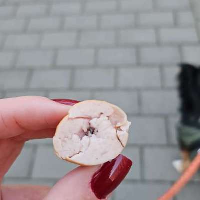 Giftköder-Giftköder-Bild