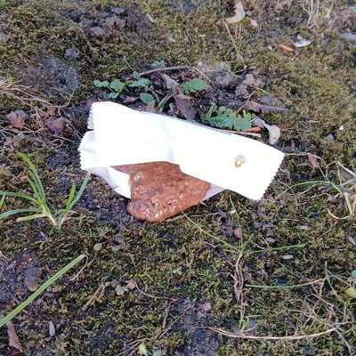 Giftköder-Giftköder mit Stecknadeln-Bild