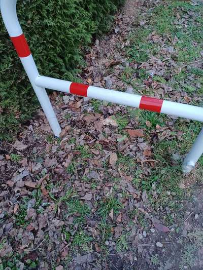 Giftköder-Möglicher Giftköder-Bild