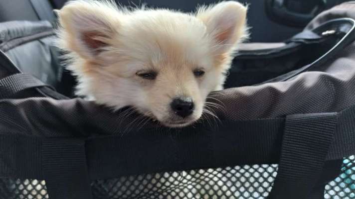 CHALLENGE NR. 18 - ON TOUR-Beitrag-Bild