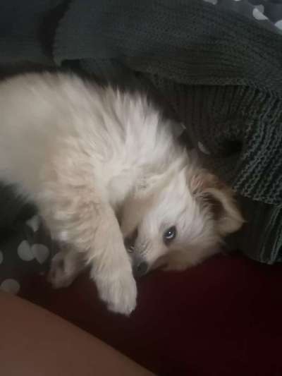 Fotochallange Nr. 6 Die irrsten Blicke-Beitrag-Bild