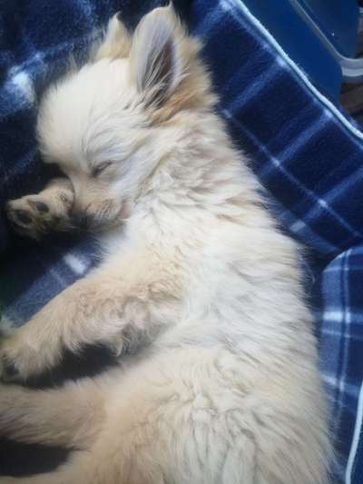 Die unbequemsten und lustigsten Schlafpositionen-Beitrag-Bild