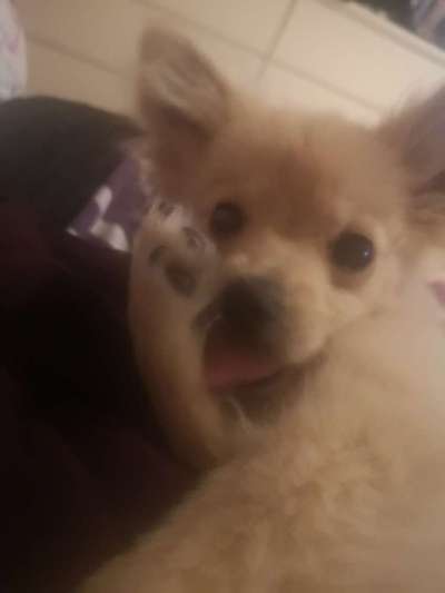 Fotochallenge No. 5-Beitrag-Bild