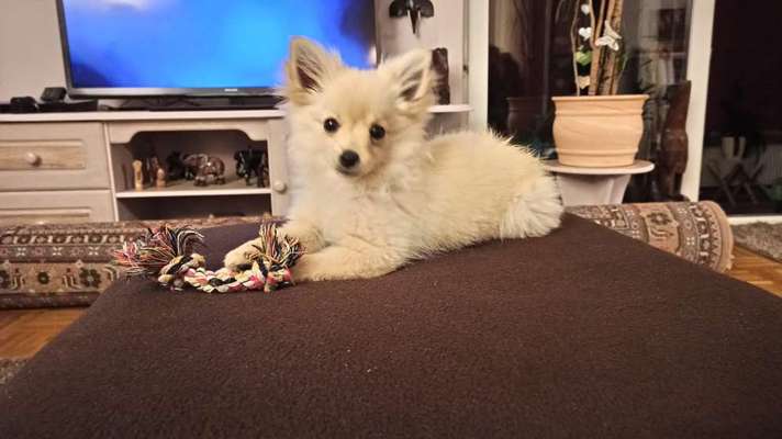 Foto Challenge die Vierte-Beitrag-Bild