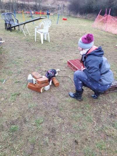 ZOS und UO-Beitrag-Bild