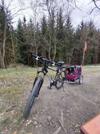 Hundeanhänger für das Fahrrad-Beitrag-Bild