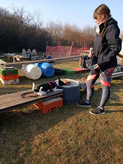 ZOS und UO-Beitrag-Bild