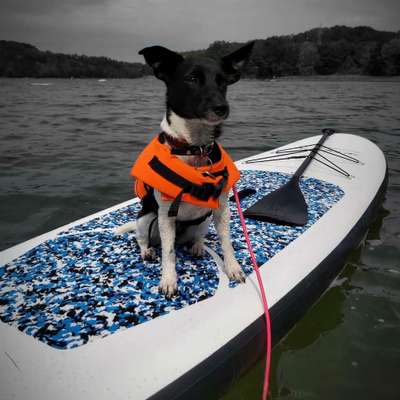 Fotochallenge 27-Beitrag-Bild