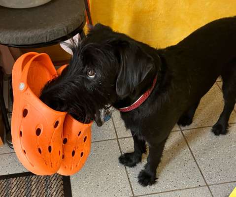 Handy-Foto Challange Nr. 12-Beitrag-Bild