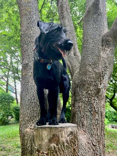 27. Handy Fotochallenge-Beitrag-Bild