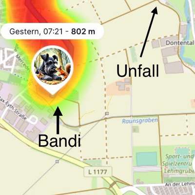 GPS Tracker-Beitrag-Bild
