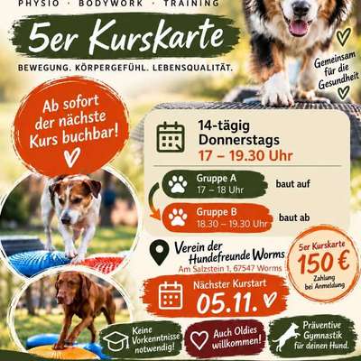 Hundetreffen-CrossCarni Kurs-Bild