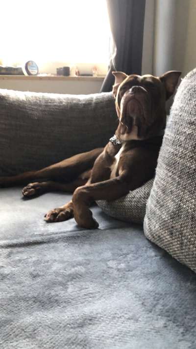 Lustigsten Bilder-Beitrag-Bild