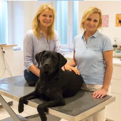 Tierärzte-Vet Lucy Roberts-Bild