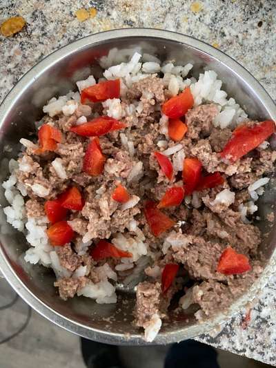 Zeigt her Eure Futternäpfe-Beitrag-Bild