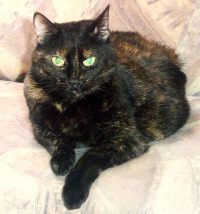 Unsere Sternchen ******-Beitrag-Bild