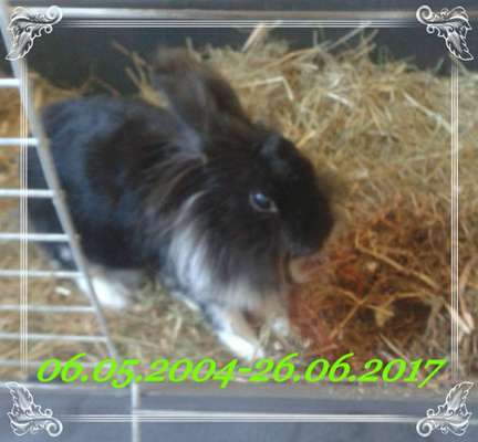 Unsere Sternchen ******-Beitrag-Bild