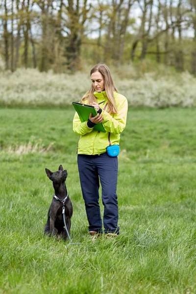 Hundeschulen-Canine Training | Bianca Materne-Bild