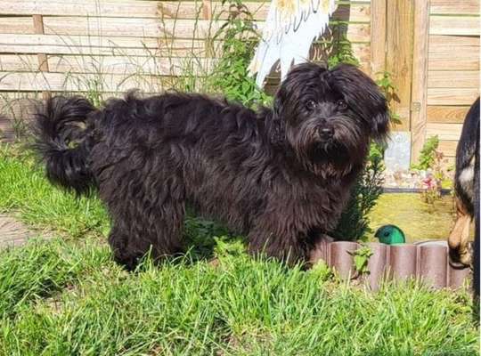 Doppelgänger gesucht !-Beitrag-Bild