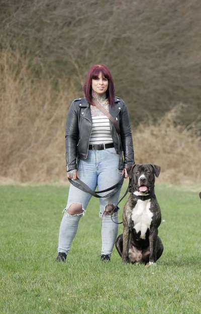 Mischlinge raten - Rätselspaß-Beitrag-Bild